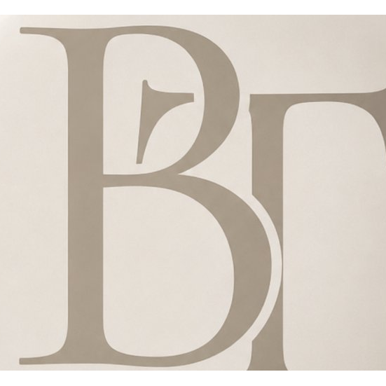 Baruch Trade ロゴ